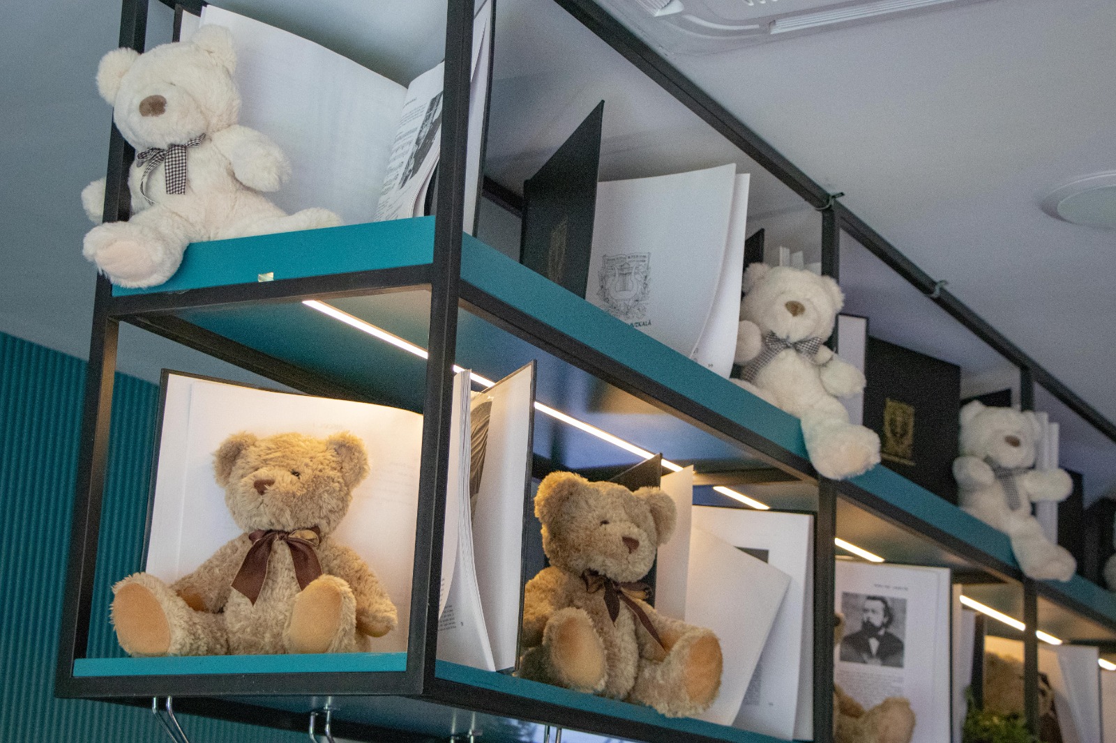 WhatsApp Image 2025-08-03 at 01.04.46